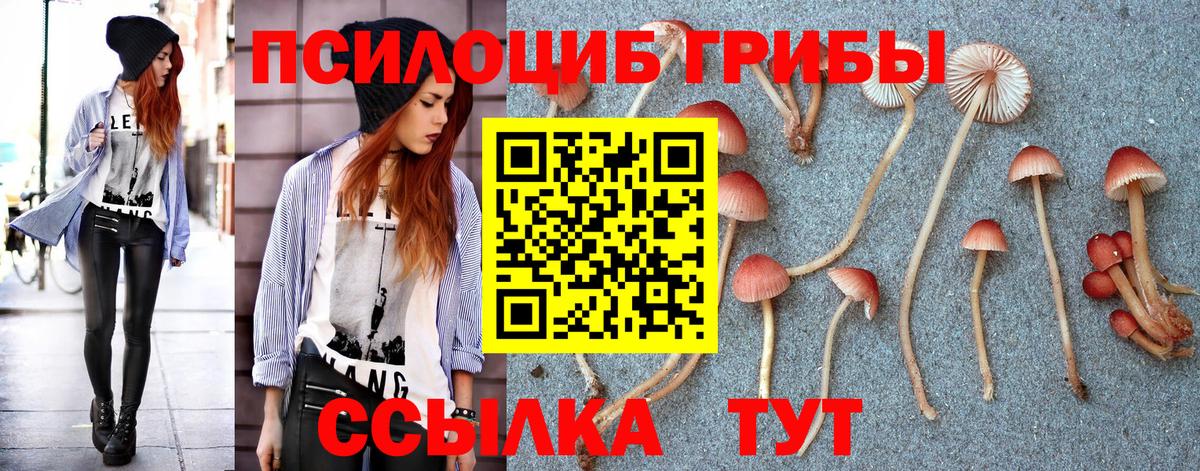 Галлюциногенные грибы MAGIC MUSHROOMS  Вход с VPN  Дербент  Галлюциногенные грибы мицелий 