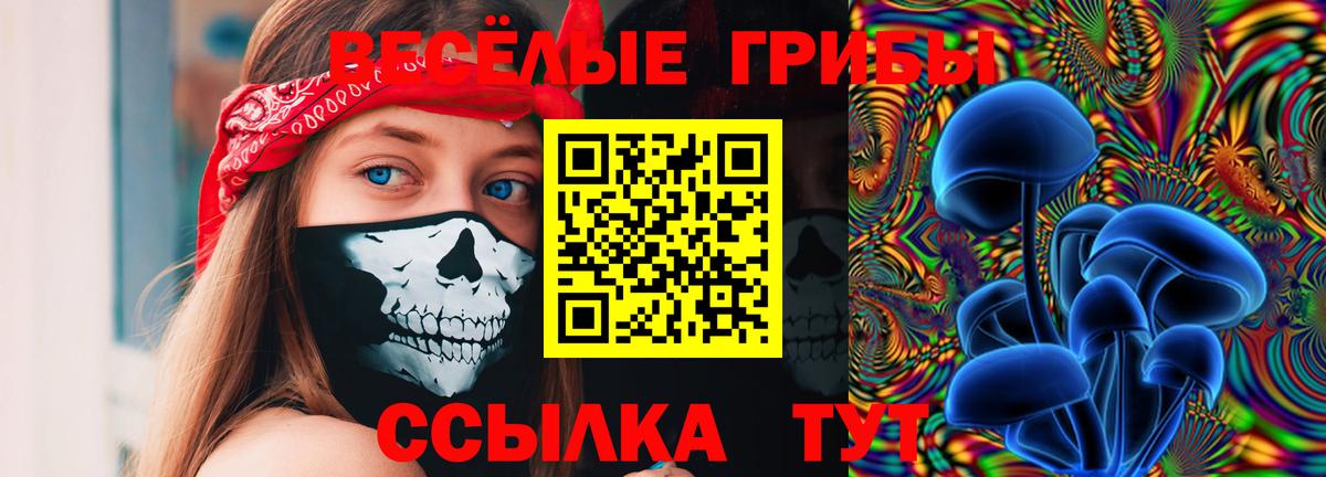 Галлюциногенные грибы ЛСД Дербент